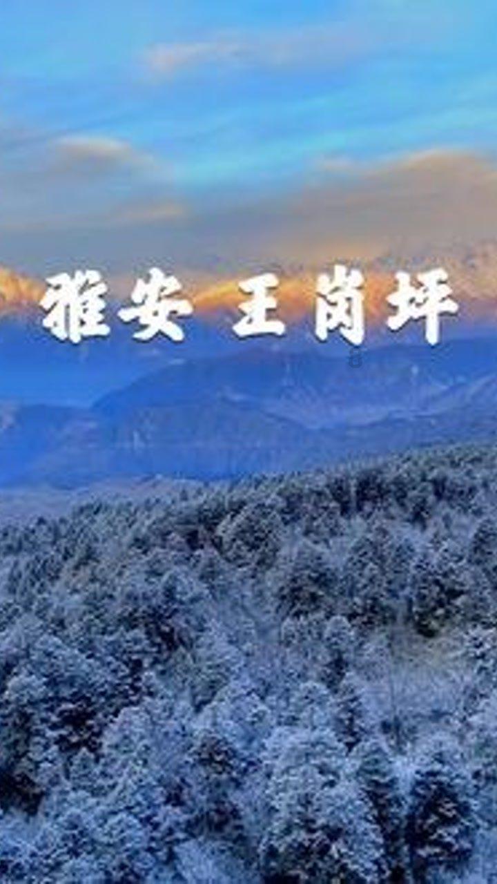 暴走小飞机