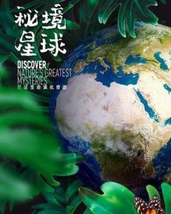 动物帮帮忙保卫家园