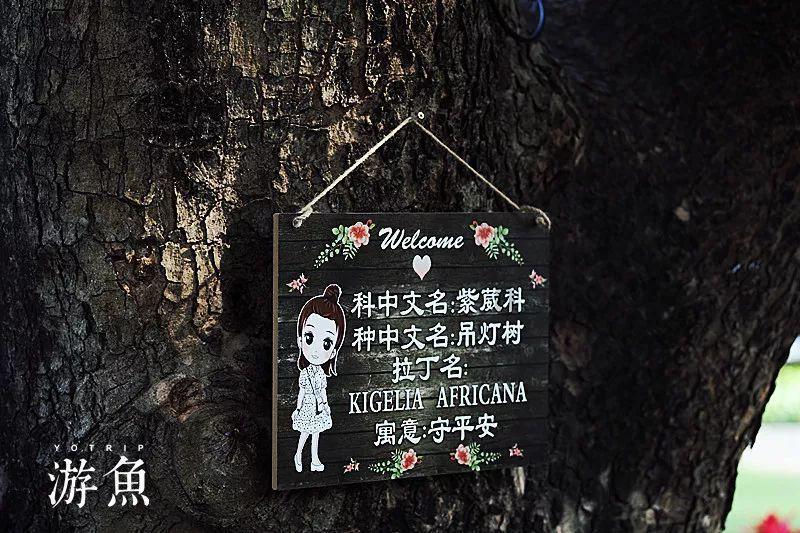 探索山中小屋