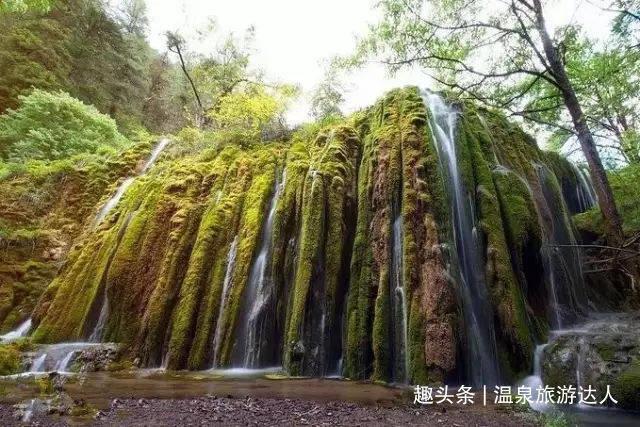 河口街道河阳社区:社区解难暖人心 居民致谢送锦旗