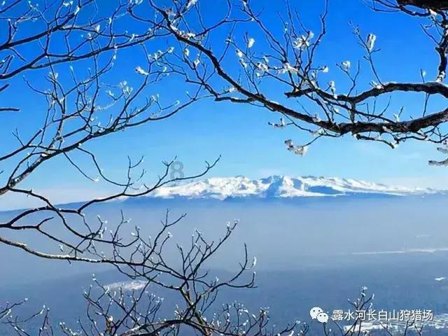 为什么可乐瓶是圆的？牛奶盒是方的？看完才知道，原来如此！