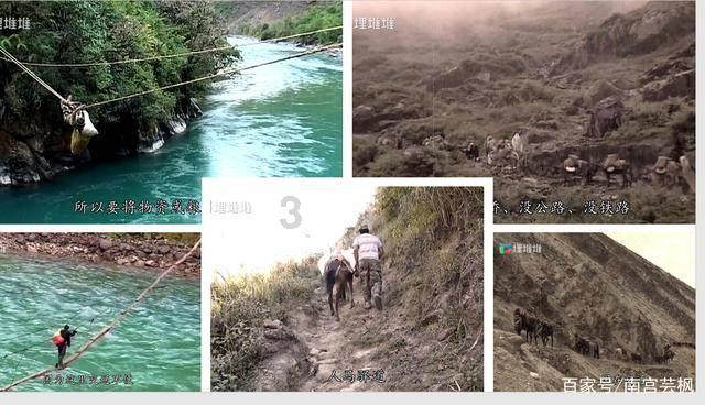 乒乓球的价钱是5元的说法对吗?-有问必答平台,解答你的困惑