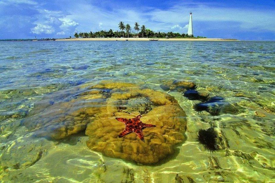 魔法季节沉睡大地