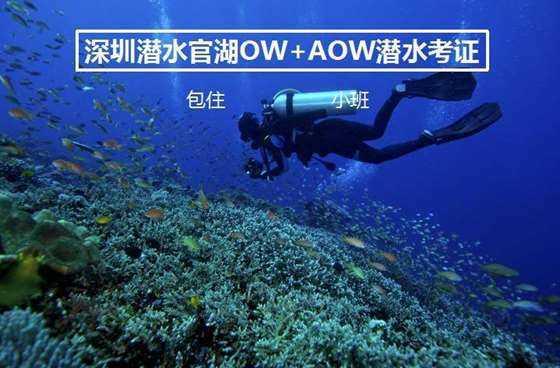 震撼来袭升级酒吧体验:从音响设备开始,让你感受前所未有的震撼