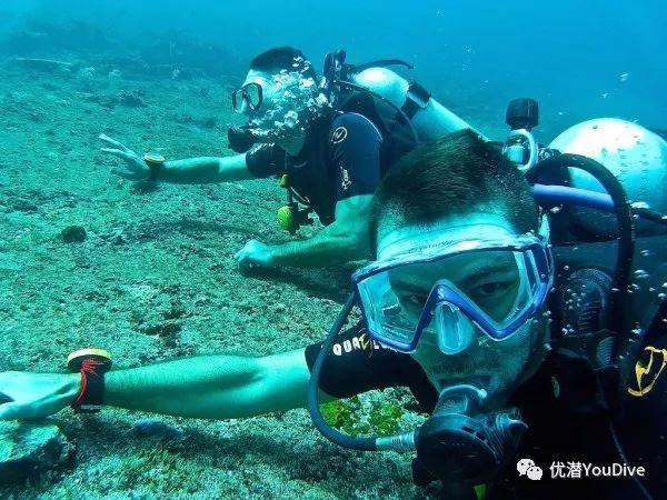 浅灰色V字紧身上衣搭配牛仔短裤,气质又百搭,这样的搭配你觉得怎么样呢?-知识星球平台,专注知识分享