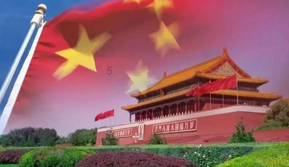 重生之玫瑰豪门