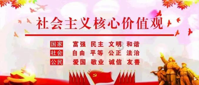 88影视