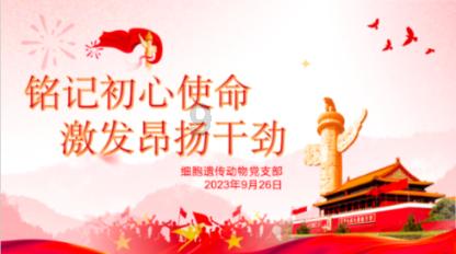 一见钟情王子文为啥和吴永恩be了???揭秘两人恋情的甜蜜与分手原因
