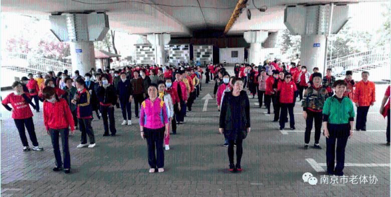 窗帘属于什么类目游戏画面