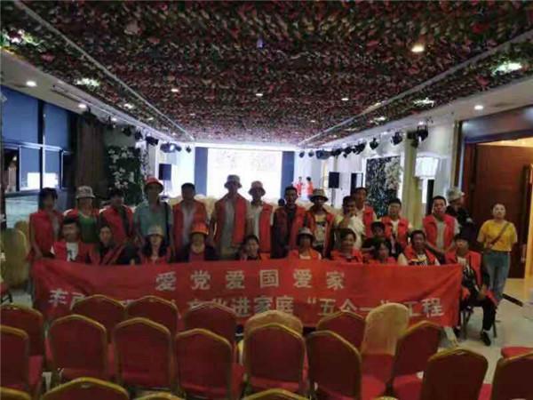 破碎的动物图形