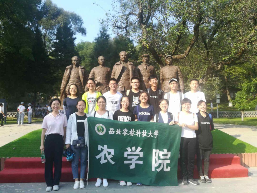 咖啡厅找不同