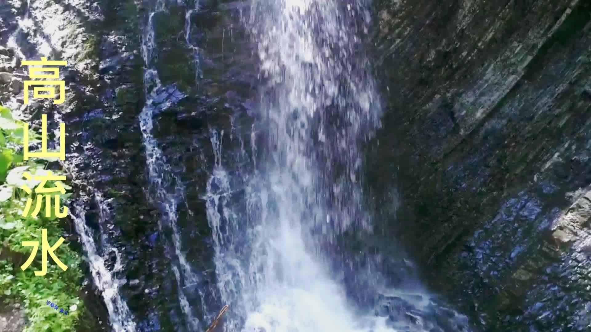 道奇蝰蛇找不同