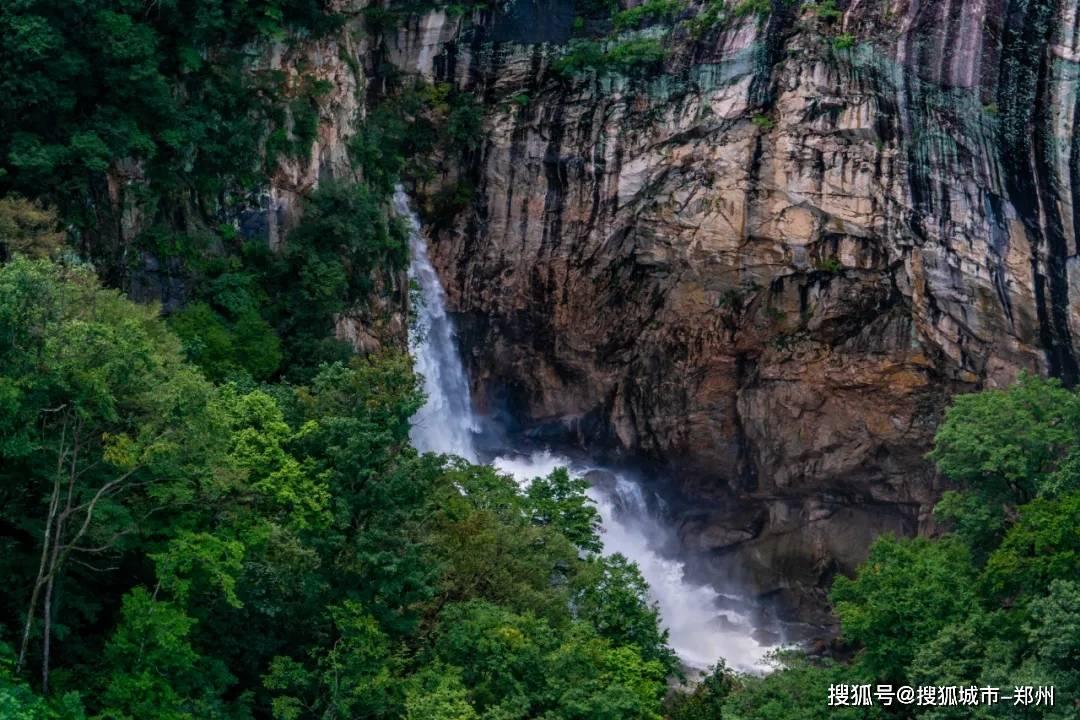 全都是凶手