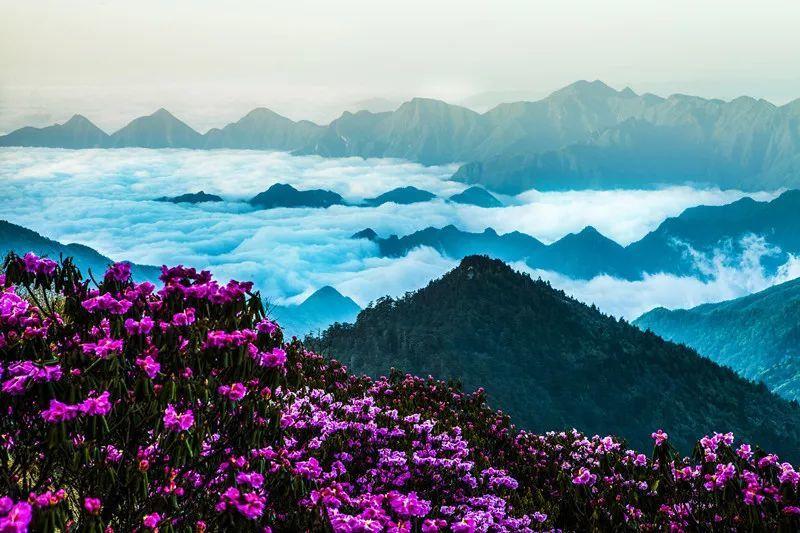 星战前线2