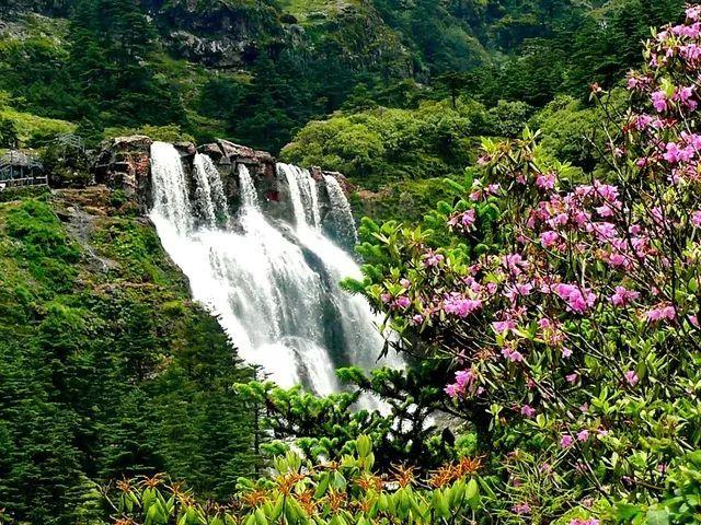 爱丽丝和闺蜜