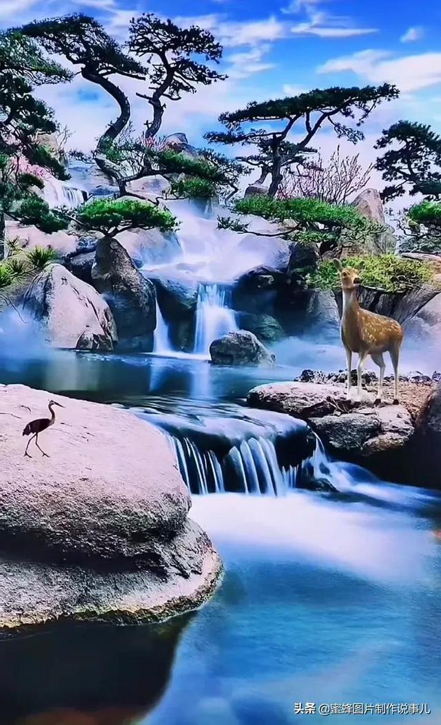 动物帮帮忙保卫家园