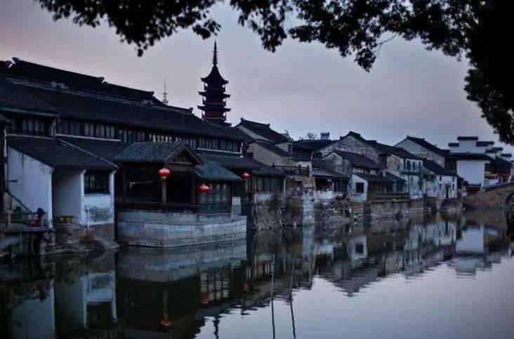 每天喝蒲公英泡水，坚持一个月，对身体有什么好处？游戏画面