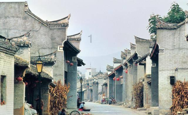 敏捷的白球