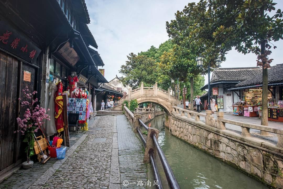 陈仓:鱼缸之外