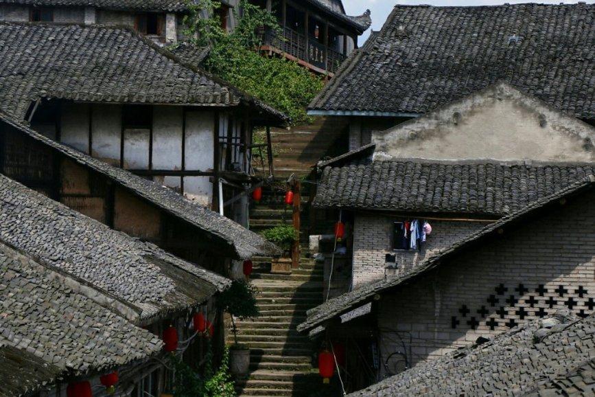 动物帮帮忙保卫家园