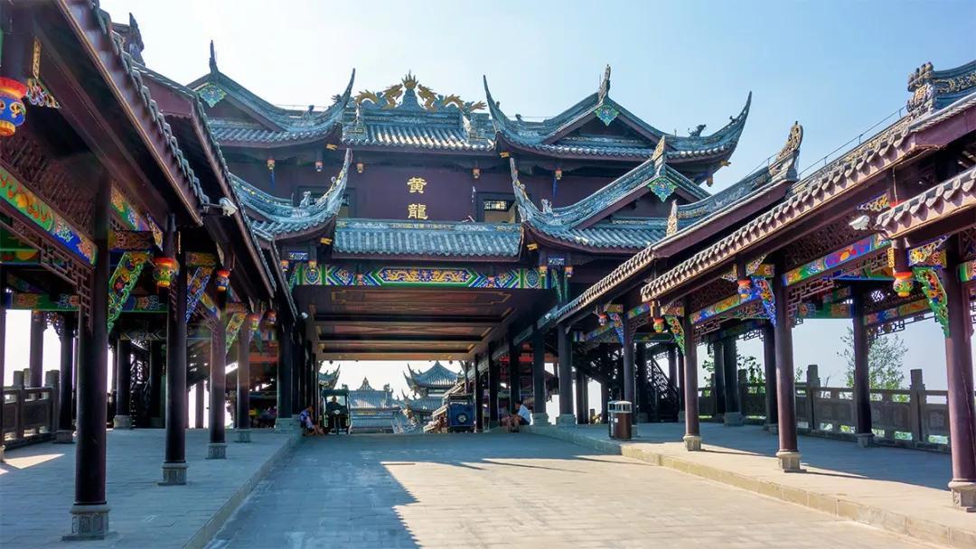 寻找奈良树花