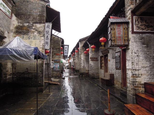 救援瓢虫宝宝