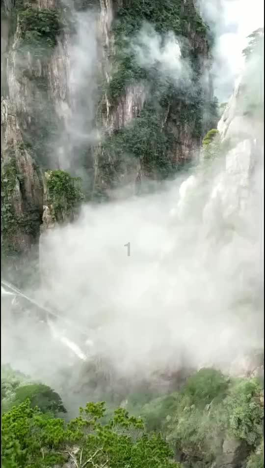 牛油果面包